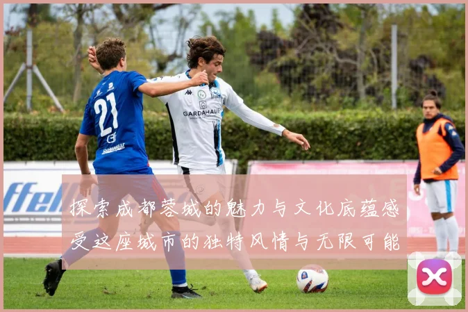探索成都蓉城的魅力与文化底蕴感受这座城市的独特风情与无限可能