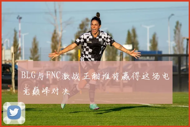 BLG与FNC激战正酣谁将赢得这场电竞巅峰对决