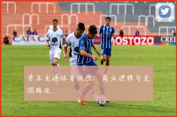 资本竞逐体育版图：商业逻辑与变现路径