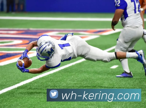 开云官网APP 体育赛事宣传图